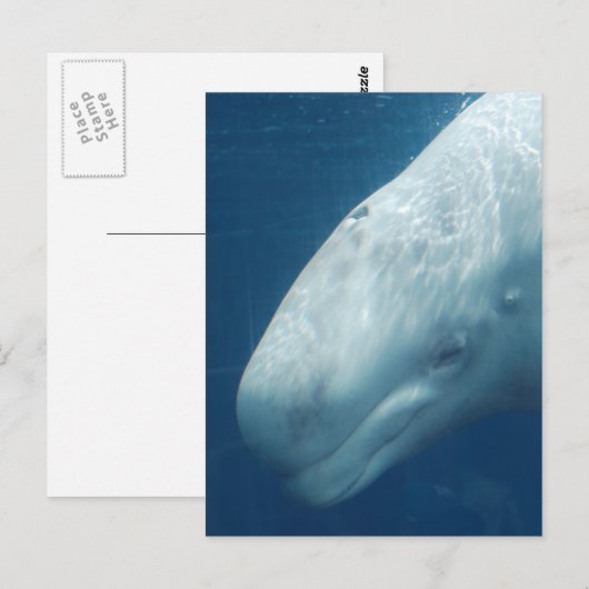 Product aanpassen briefkaart (Voorkant / Achterkant)