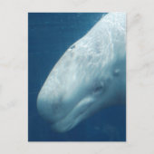 Product aanpassen briefkaart (Voorkant)