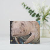 Product aanpassen briefkaart (Staand voorkant)