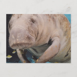 Product aanpassen briefkaart