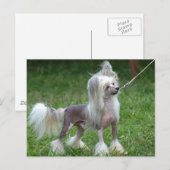 Product aanpassen briefkaart (Voorkant / Achterkant)