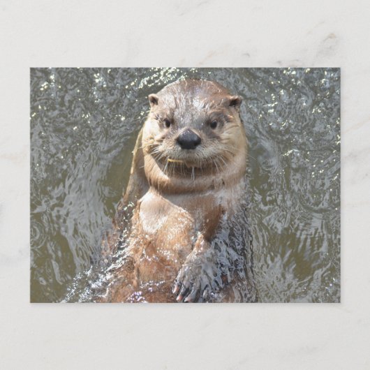 Product aanpassen briefkaart (Voorkant)