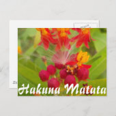 Product aanpassen briefkaart (Voorkant / Achterkant)