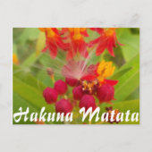 Product aanpassen briefkaart (Voorkant)