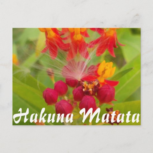 Product aanpassen briefkaart (Voorkant)