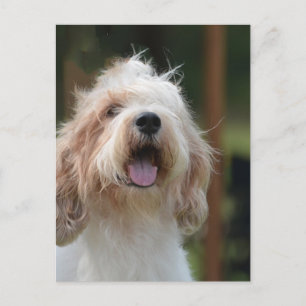 Product aanpassen briefkaart