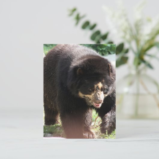 Product aanpassen briefkaart (Staand voorkant)