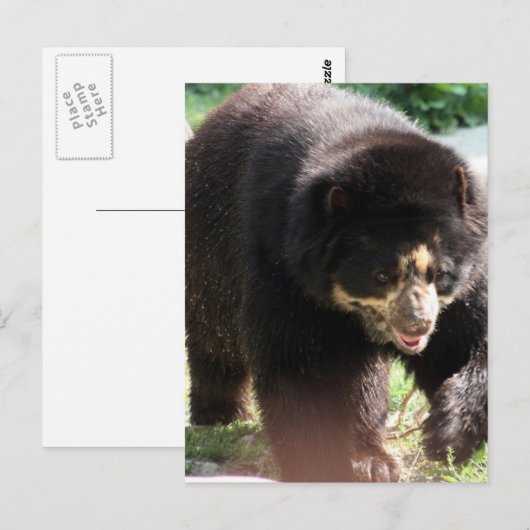 Product aanpassen briefkaart (Voorkant / Achterkant)