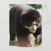 Product aanpassen briefkaart (Voorkant)