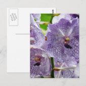 Product aanpassen briefkaart (Voorkant / Achterkant)