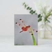 Product aanpassen briefkaart (Staand voorkant)