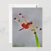 Product aanpassen briefkaart (Voorkant / Achterkant)