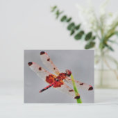 Product aanpassen briefkaart (Staand voorkant)