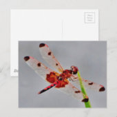 Product aanpassen briefkaart (Voorkant / Achterkant)