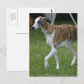 Product aanpassen briefkaart (Voorkant / Achterkant)