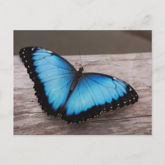 Product aanpassen briefkaart