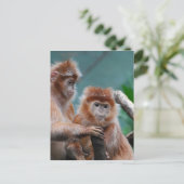 Product aanpassen briefkaart (Staand voorkant)