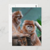 Product aanpassen briefkaart (Voorkant / Achterkant)