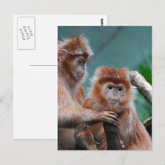 Product aanpassen briefkaart (Voorkant / Achterkant)