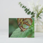 Product aanpassen briefkaart (Staand voorkant)