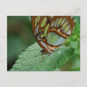 Product aanpassen briefkaart