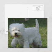 Product aanpassen briefkaart (Voorkant / Achterkant)