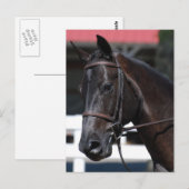 Product aanpassen briefkaart (Voorkant / Achterkant)