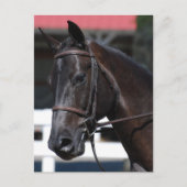 Product aanpassen briefkaart (Voorkant)