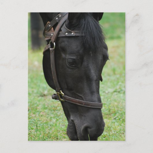 Product aanpassen briefkaart (Voorkant)