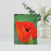 Product aanpassen briefkaart (Staand voorkant)
