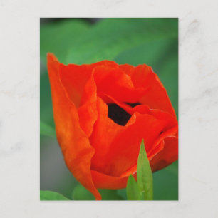 Product aanpassen briefkaart