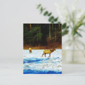 Product aanpassen briefkaart (Staand voorkant)