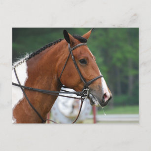 Product aanpassen briefkaart