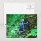 Product aanpassen briefkaart (Voorkant / Achterkant)