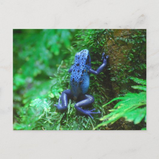 Product aanpassen briefkaart (Voorkant)