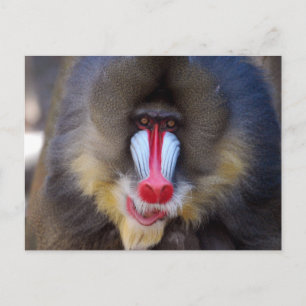 Product aanpassen briefkaart