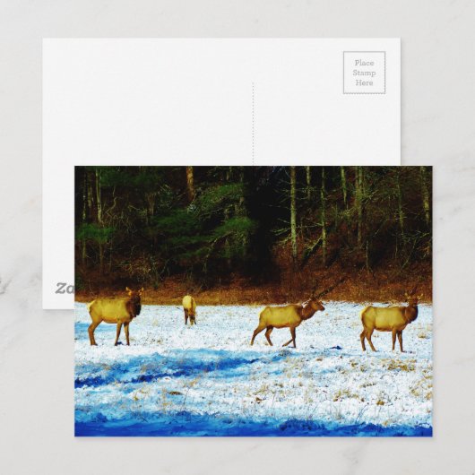 Product aanpassen briefkaart (Voorkant / Achterkant)