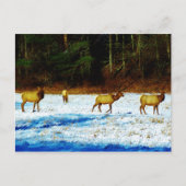 Product aanpassen briefkaart (Voorkant)