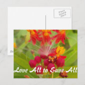 Product aanpassen briefkaart (Voorkant / Achterkant)