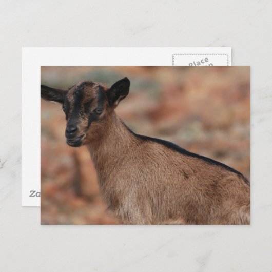 Product aanpassen briefkaart (Voorkant / Achterkant)