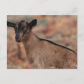 Product aanpassen briefkaart (Voorkant)