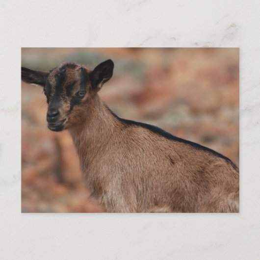 Product aanpassen briefkaart (Voorkant)