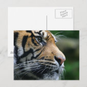 Product aanpassen briefkaart (Voorkant / Achterkant)