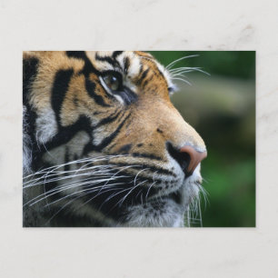 Product aanpassen briefkaart