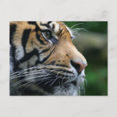 Product aanpassen briefkaart (Voorkant)