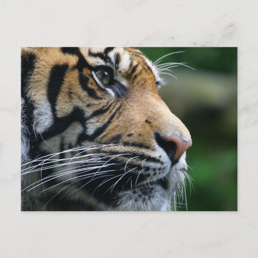 Product aanpassen briefkaart (Voorkant)