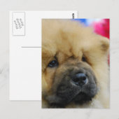 Product aanpassen briefkaart (Voorkant / Achterkant)