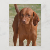 Product aanpassen briefkaart (Voorkant)