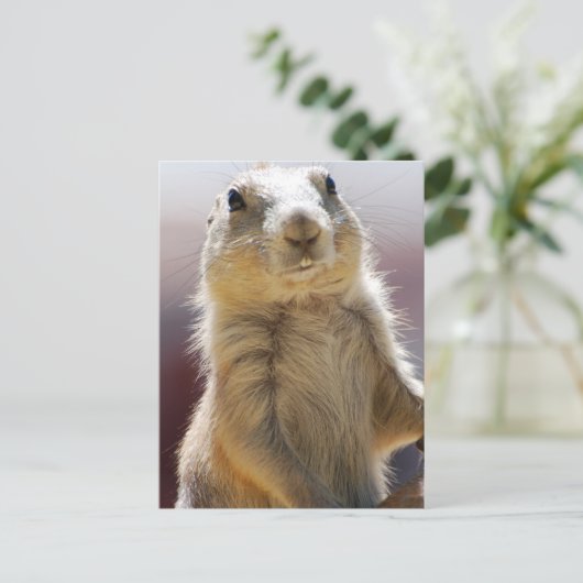 Product aanpassen briefkaart (Staand voorkant)