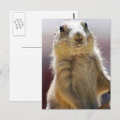 Product aanpassen briefkaart (Voorkant / Achterkant)